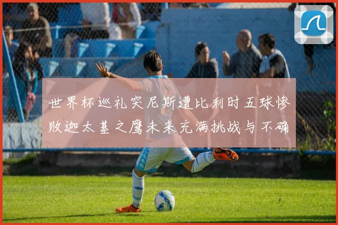 世界杯巡礼突尼斯遭比利时五球惨败迦太基之鹰未来充满挑战与不确定性